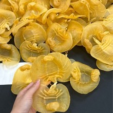 本港湛江赤嘴鱼胶 公肚 公胶花胶 赤嘴鱼胶 招代理可代发