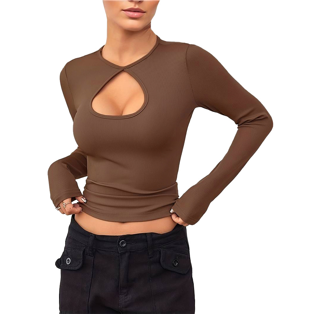 Voya Women's Simple And Versatile T-shirt For Spring And Summer Casual Commuting, Long Sleeved Slim Fit Solid Color Top For Interior Wear_ecoleips.com