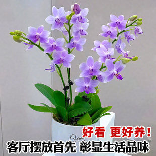 �����m���Ԏ����������ͺ����ܾGֲ���҃ȸߙn�m�����ļ����B�׻�