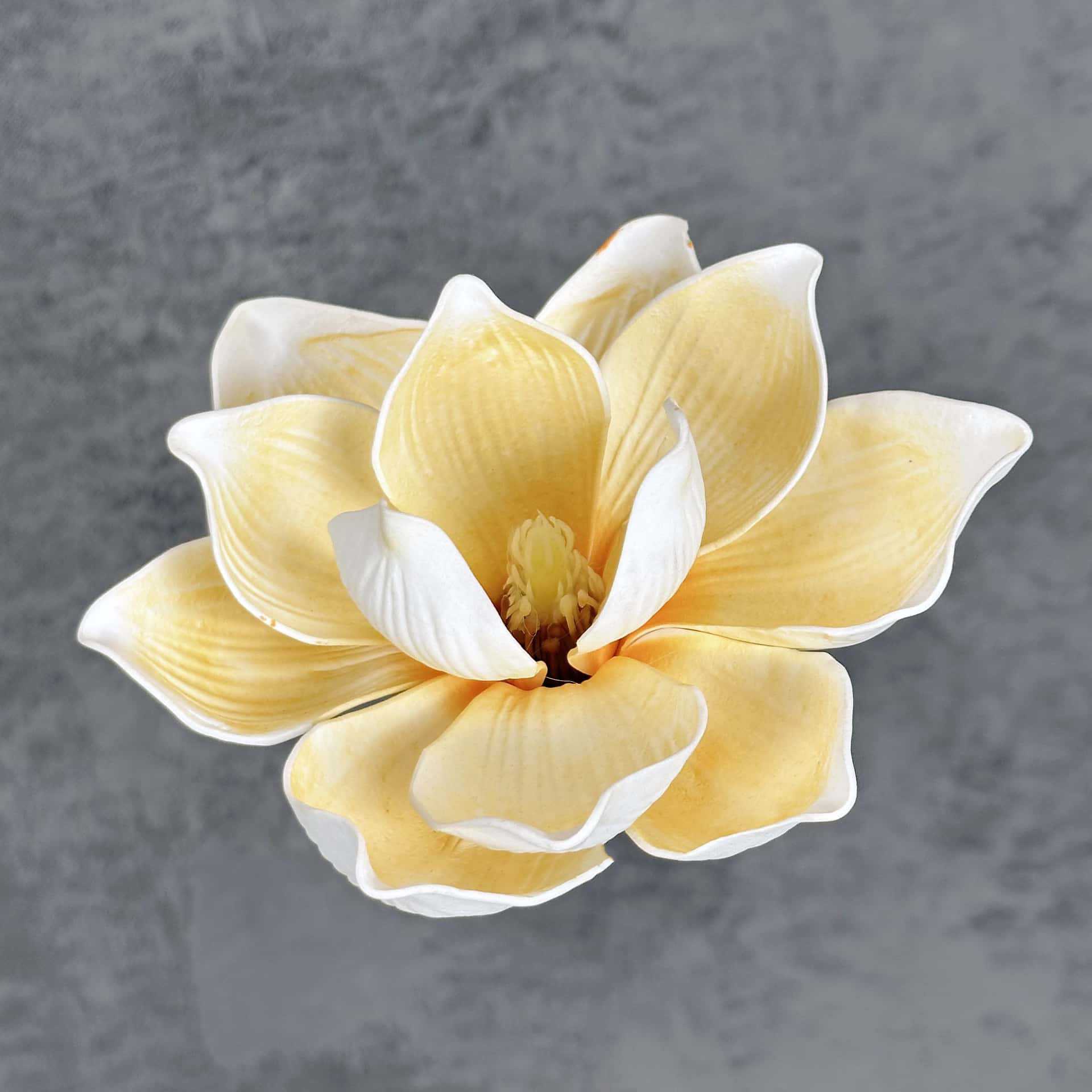 Flor de simulación transfronteriza EVA cabeza de magnolia 13cm tacto tocado kapok decoración decoración decoración flor falsa al por mayor