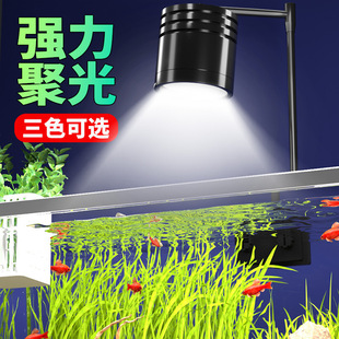 Aluminum Alloy Downlight Fish Tank Spotlight Stream Tank South American Spotlight Aquatic Plant Lamp Algae Lamp Fish Tank Chandelier