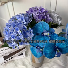 ����2̖3D90Ƭ�������Ҿ��b�ˇ�[���߼��в廨�ٻ����滨��