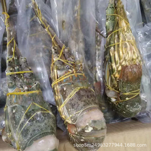 ���l������r С�����r�� ������������r�ك������r �Ƶ�ʳ��