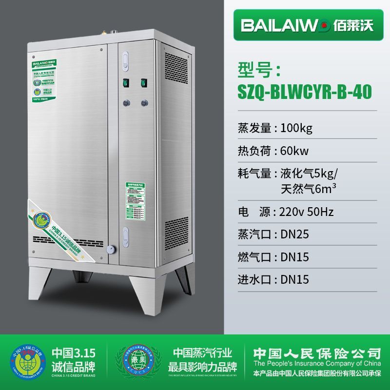 蒸汽发生器蒸气机燃气液化气煮豆浆豆腐烧水全自动工业锅炉酿酒|undefined
