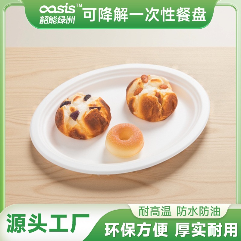 Shaogeng oasis fábrica al por mayor Pulpa de bagazo Pulpa de bambú oval disco ecológico vajilla desechable degradable compostable