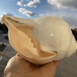 �Ჴ�������׺��ݼҾ��Ʒ�ֹ��׺����ܴ�푵ĺ���̖�ǔ[������