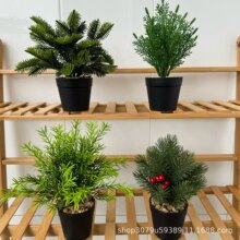 ����С�����}�QС�辰����Gֲ�ٻ�ֲ���}�Q���ɘ�С�[���Ҿ��b�