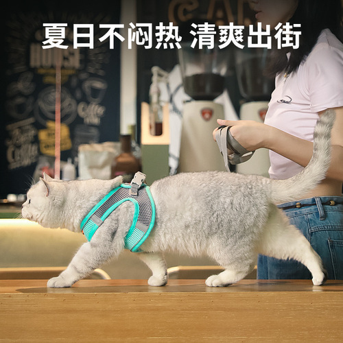 Pet outing leash, small and medium-sized dog chest and back, high quality reflective dog leash, cat leash, cross-border wholesale