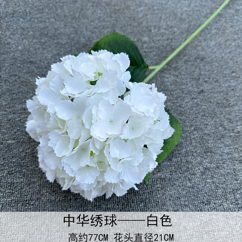 Hortensia China Blanco