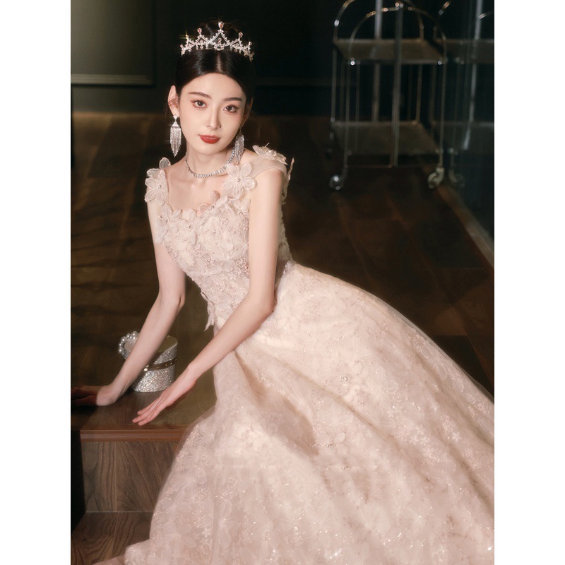 French-Style Evening Dress 2026 New Model Light Luxury Niche High-End Banquet Elegant Birthday Host Dress in Light Pink