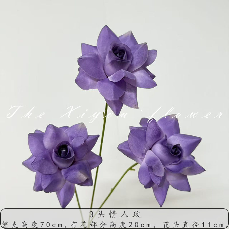 러버 로즈-다크 퍼플