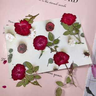 With branch positive pressure rose dried flower embossed flower wholesale plant specimen DIY photo frame bookmark greeting card scented candle