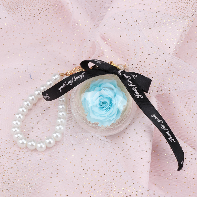 23124556570_1077263859