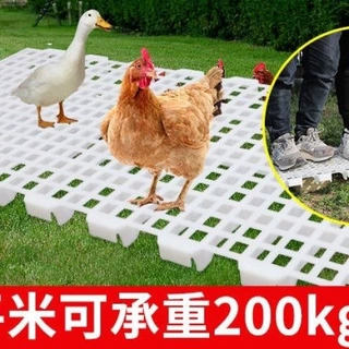 鸡用漏粪板鸡鸭家禽接粪板地板小鸡养殖保育加厚鸽子塑料鸡舍垫板