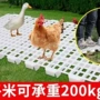 保育养殖加厚塑料漏粪板