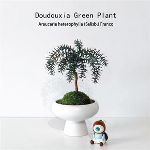 ̦�\�������k���҃�����Gֲ�����ļ��辰ֲ��ܛ�b ins�Y��