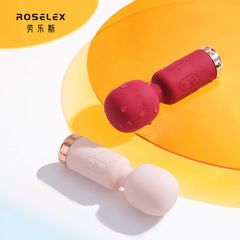 ROSELEX Laborus Knows AV Vibrating Rod Clitoris Stimulating Vibrating Massager for Couples' Romance Mini
