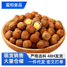 新东北大榛子薄皮香脆原味干果特产炒熟坚果批发一件代发批发