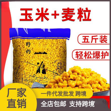 �����C����������������~�D���s�Z�~�DҰ��a�~���~ǧ���������