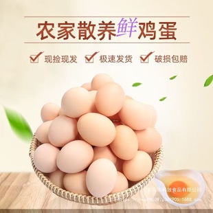 ��34g-44g/ö�����r�u���r��ɽ��ɢ�B���u���x�ݹ���ι�B5-25ö