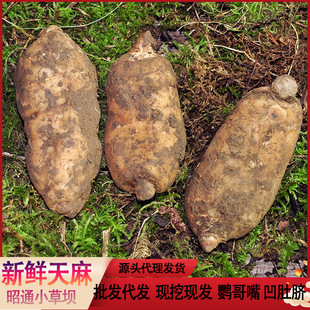 ���r���� �����ͨС�݉������r؛�F�ڬF�l��ɽ�������Դ�^���l