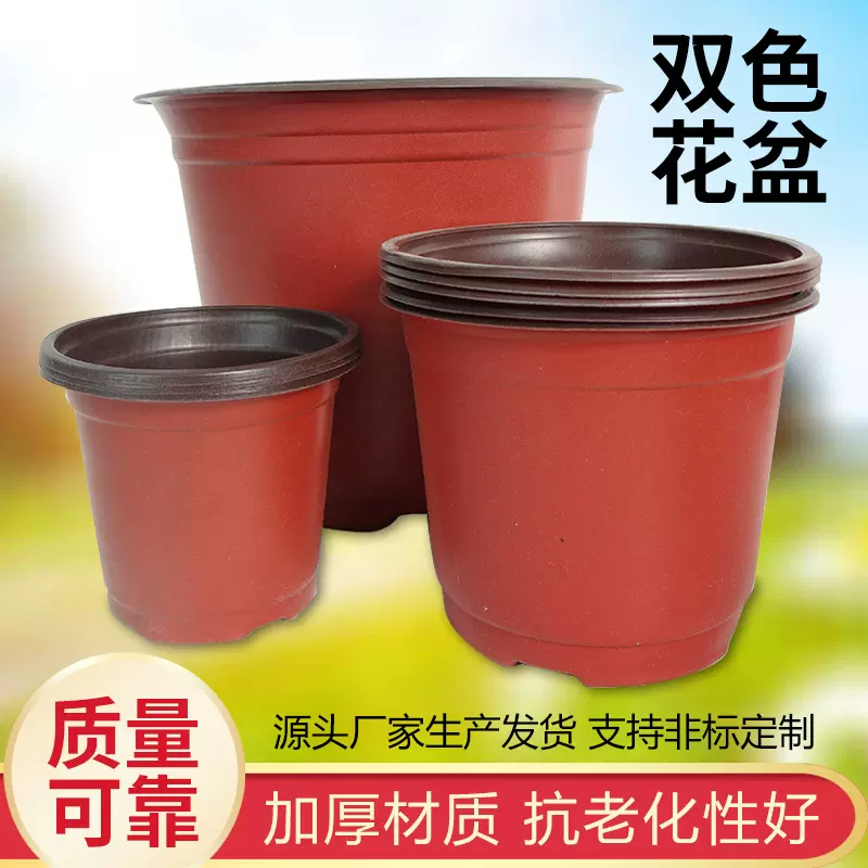 双色育苗盆草莓多肉绿植种植盆pp料加厚软吸塑料花盆多种规格多样