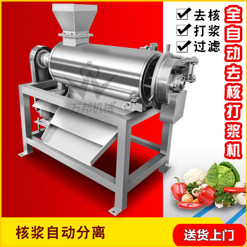 现货罗汉果去籽打浆机 不锈钢草莓打浆机 食品加工去核打浆机
