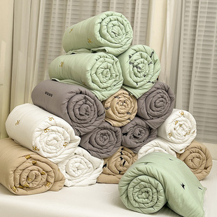 Soy Fiber Quilt Spring & Fall Bedding Air-Conditioned Quilt Class a Soybean Quilt Single Four-Season Nantong Home Textile Summer Cool Quilt