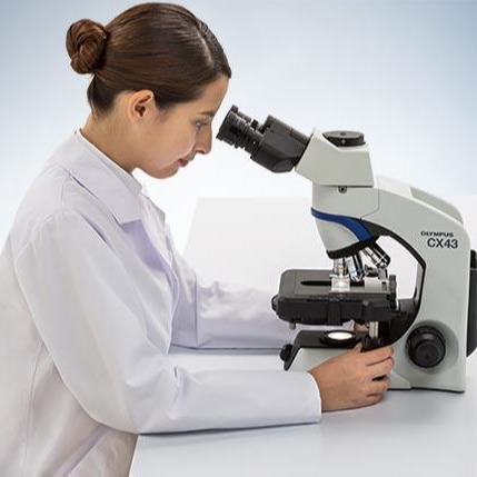 Microscopio metalográfico invertido para la detección de obleas de silicio semiconductor