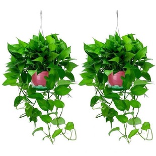 �������ҵ������k�����}���@�k���͏d����ˮ�L���ҾGֲֲ��G�j�B