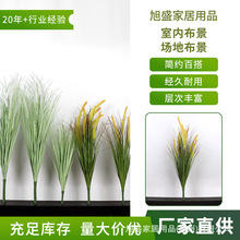 仿真绿植仿真狗尾巴草网红芦苇草北欧ins风假花装饰造景拍摄道具