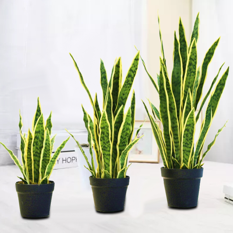 北歐大型仿真植物金邊虎皮蘭落地綠植盆景家居室內裝飾假盆栽擺件