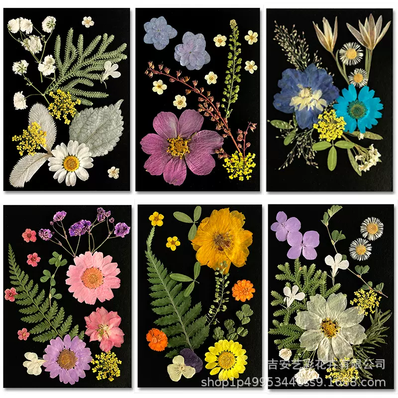 干花压花花瓣手工diy相框滴胶押花台灯花材植物标本装饰画材料包