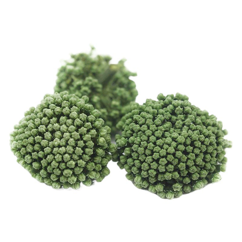 Nanjun Qiwenshan Sanqi цветок 2023 новый цветок 23 Tianqi Sanqi цветочный чай Юньнань Вэньшань Тяньци цветок