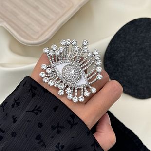 �����й�Schiaparelli�r�־��߼����ع�荐�ħ֮����ᘽ�ָ