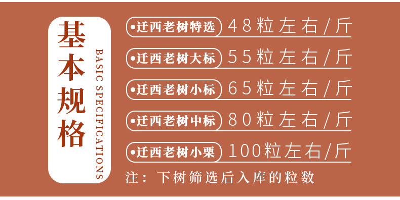 正宗迁西板栗,老树栗子河北迁西生鲜油栗批发,糖炒栗子香甜软糯板栗