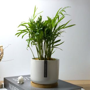 ���~�ű��W�LС��������Gֲ�k����ֲ���҃��ļ�������ꎺ��B����