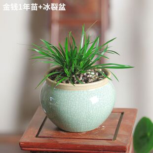 ΢���辰���X���Ѽ����ˮ���S��������ˮꑸ��쾰�Gֲ�m������