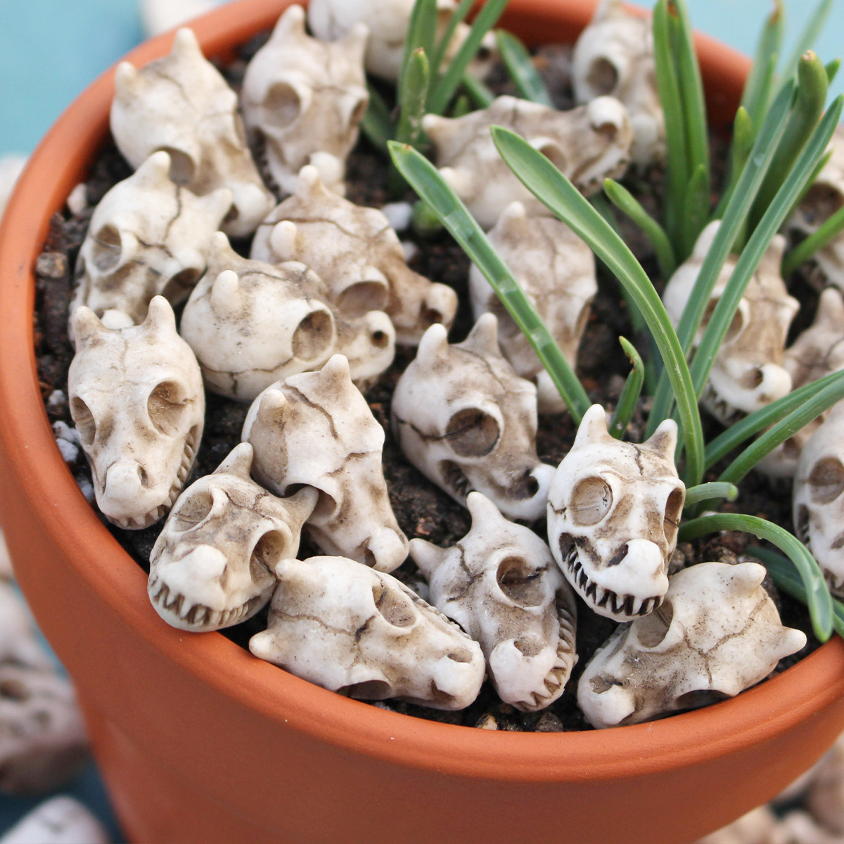 【厂家直供】跨境新品龙骨头套20哥特式树脂铺面石鱼缸水族馆布景