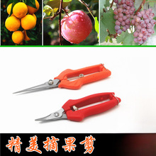 �ɹ������Ѹ��ٽ��Ӽ�����֦���޻�ժ�������Ӽ��ù����߹�������