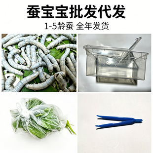 �W���B�Q�����ѻ��w���b��Ȼ��ɫ�O���Q�߲�С���Q1�g234���rɣ�~