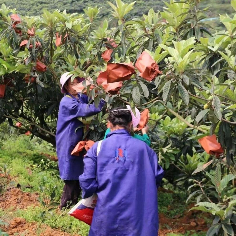 f51900a0-3b0f-490b-9ed7-1dcd41058819.jpe