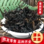散装海带花海藻