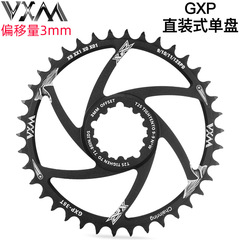 VXM positive and negative teeth integrated straight-mounted disc offset 3 degrees speed coupling single-speed X9 XO XX1GXP cassette hub