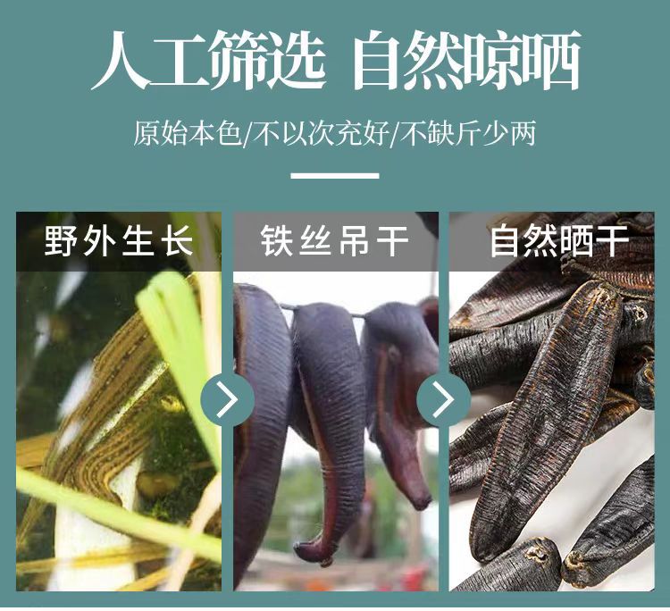 Dried Leech (Hirudo nipponica) — Wild-Caught Air-Dried Whole Leech, 500g key features
