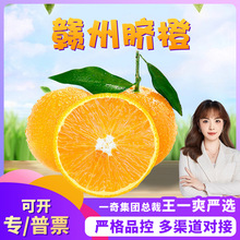 �����x�������M��Ě�� ���l3/9�����r��ժ����M����Ě�Ȯ���ˮ��