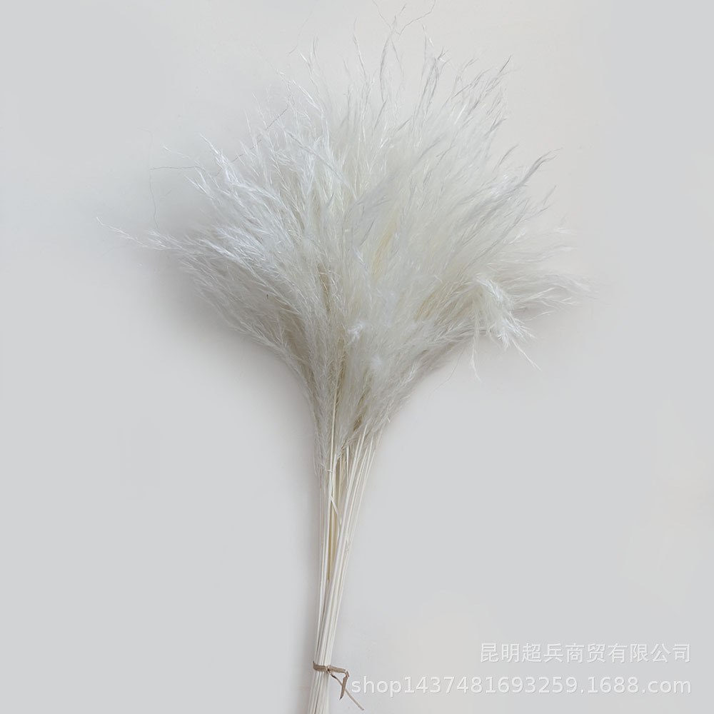 微信图片_20240318174732.jpg