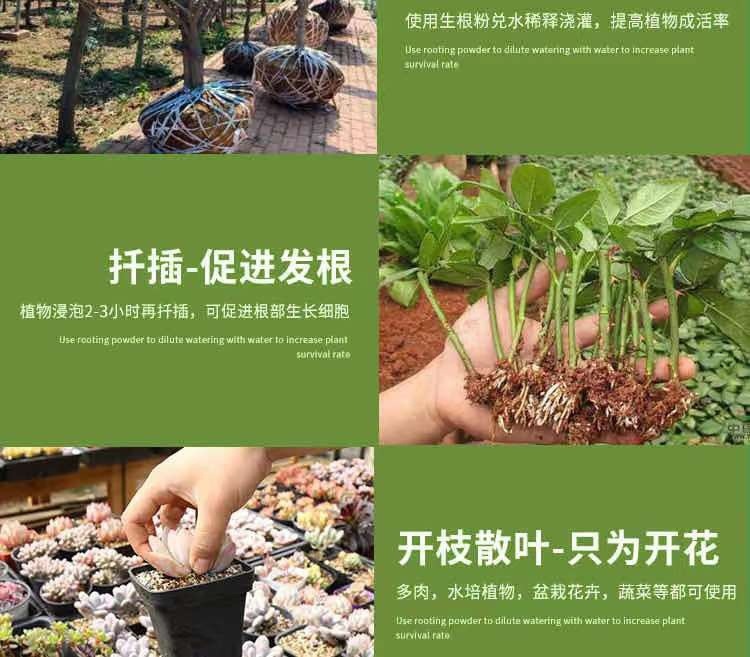 aa9411e5-6bda-4a16-a66e-5a400331e749.jpe