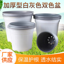 �Ӻ��pɫ���ɫ���⻨��Gֲ�@ˇܛ����������Ұ�ײɫ���׻���