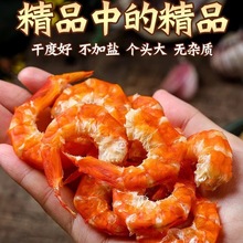 ��̖���h�r���ش���h�����_���Pβ�r500���r�r�ɜ����خa�r�ʸ�